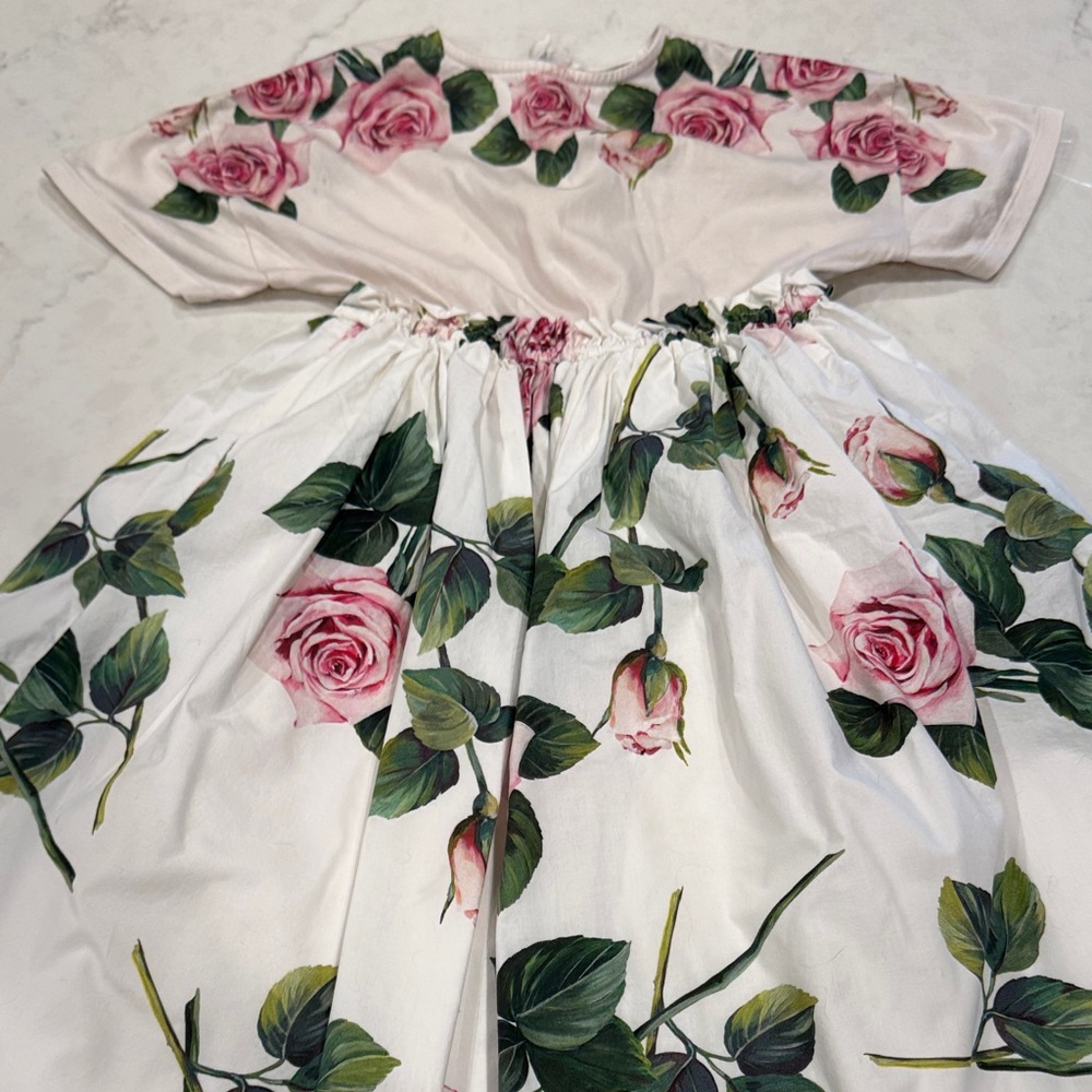 Dolce & Gabbana Pink and Green Floral Kids Dress